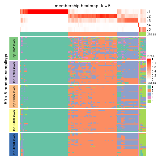 plot of chunk tab-CV-hclust-membership-heatmap-4