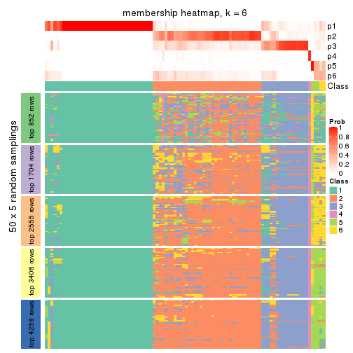 plot of chunk tab-CV-hclust-membership-heatmap-5