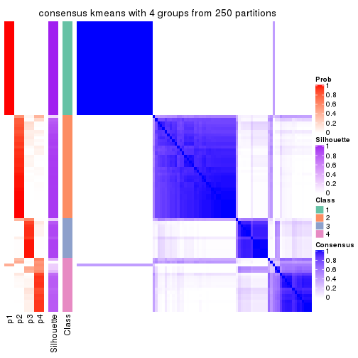 plot of chunk tab-CV-kmeans-consensus-heatmap-3