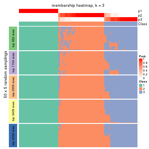 plot of chunk tab-CV-kmeans-membership-heatmap-2