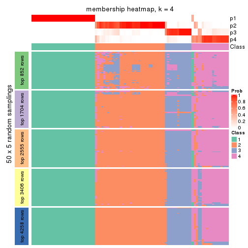 plot of chunk tab-CV-kmeans-membership-heatmap-3