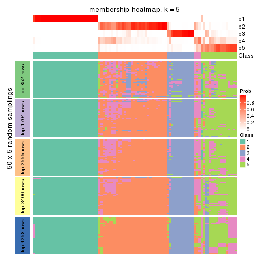 plot of chunk tab-CV-kmeans-membership-heatmap-4