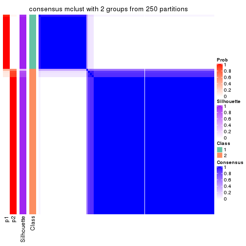 plot of chunk tab-CV-mclust-consensus-heatmap-1