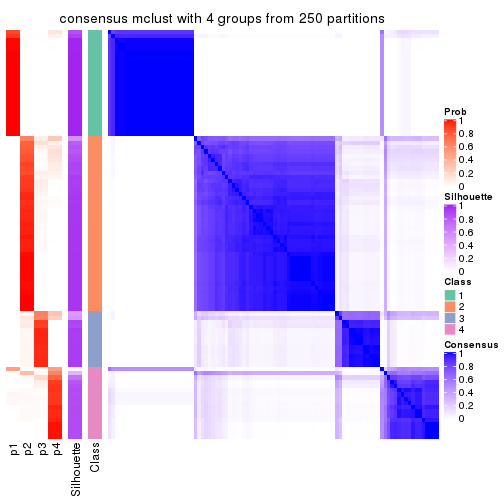 plot of chunk tab-CV-mclust-consensus-heatmap-3