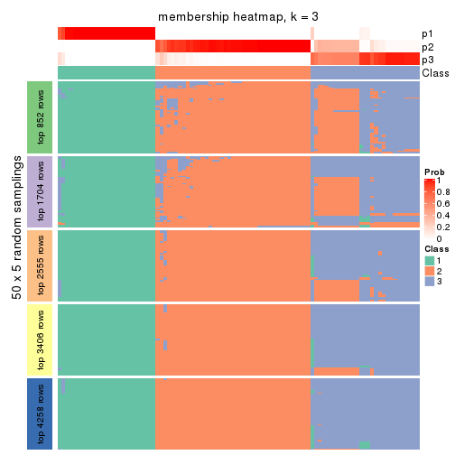 plot of chunk tab-CV-mclust-membership-heatmap-2