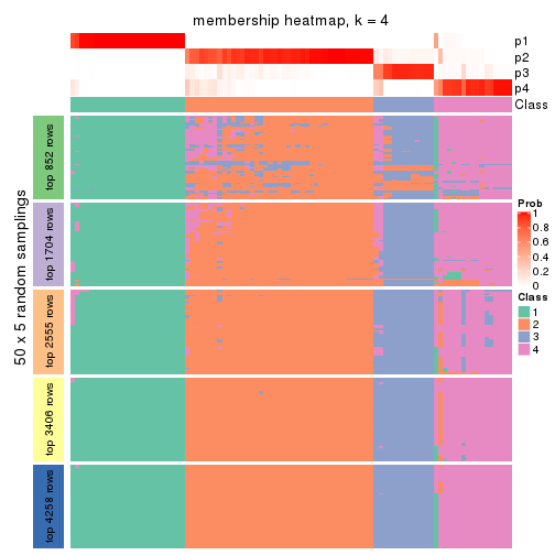 plot of chunk tab-CV-mclust-membership-heatmap-3