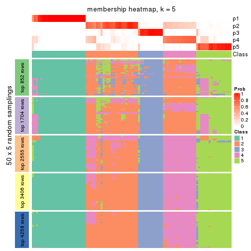 plot of chunk tab-CV-mclust-membership-heatmap-4