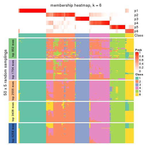 plot of chunk tab-CV-mclust-membership-heatmap-5