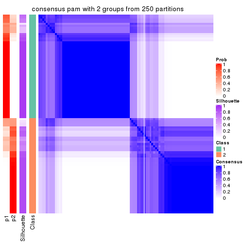 plot of chunk tab-CV-pam-consensus-heatmap-1