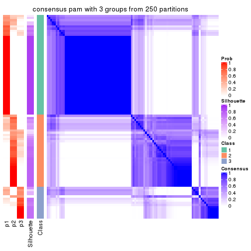 plot of chunk tab-CV-pam-consensus-heatmap-2