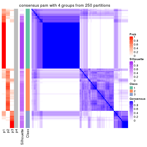 plot of chunk tab-CV-pam-consensus-heatmap-3