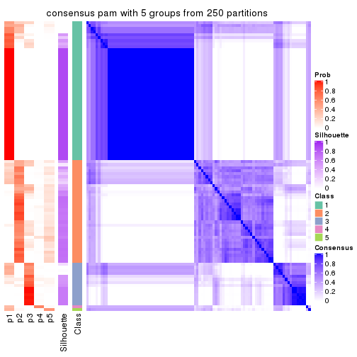 plot of chunk tab-CV-pam-consensus-heatmap-4