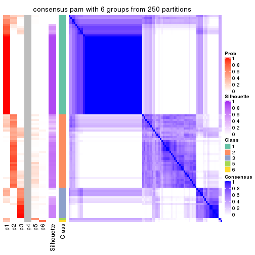 plot of chunk tab-CV-pam-consensus-heatmap-5