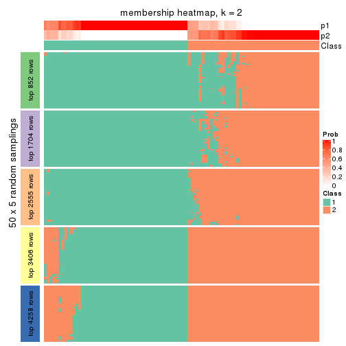 plot of chunk tab-CV-pam-membership-heatmap-1