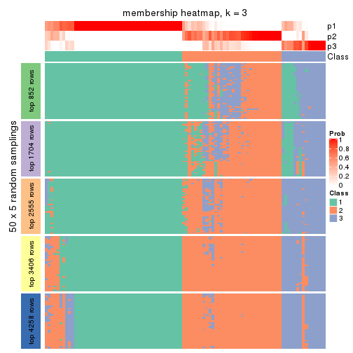 plot of chunk tab-CV-pam-membership-heatmap-2