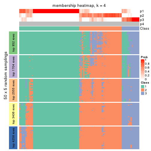 plot of chunk tab-CV-pam-membership-heatmap-3