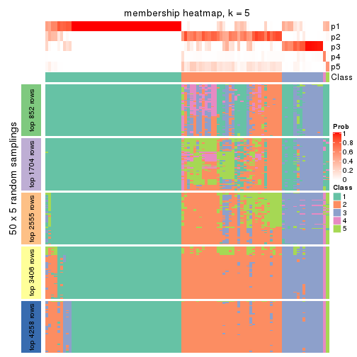 plot of chunk tab-CV-pam-membership-heatmap-4