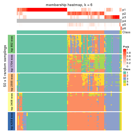 plot of chunk tab-CV-pam-membership-heatmap-5