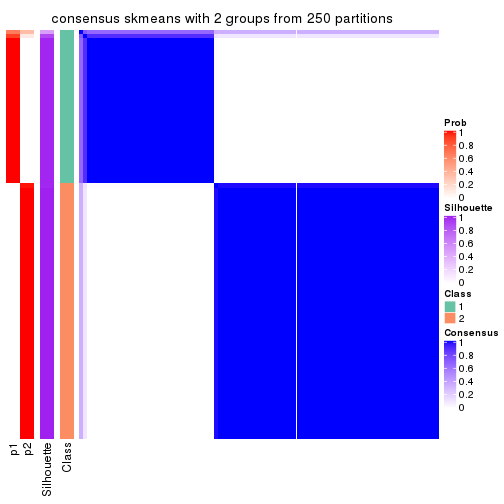 plot of chunk tab-CV-skmeans-consensus-heatmap-1