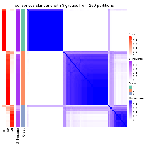 plot of chunk tab-CV-skmeans-consensus-heatmap-2