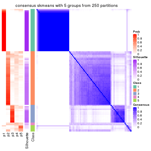 plot of chunk tab-CV-skmeans-consensus-heatmap-4