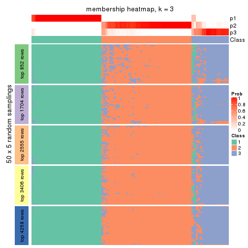 plot of chunk tab-CV-skmeans-membership-heatmap-2