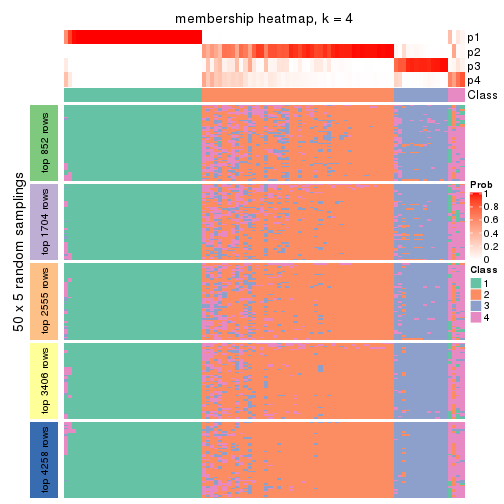 plot of chunk tab-CV-skmeans-membership-heatmap-3