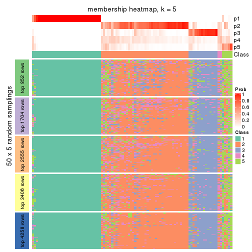 plot of chunk tab-CV-skmeans-membership-heatmap-4