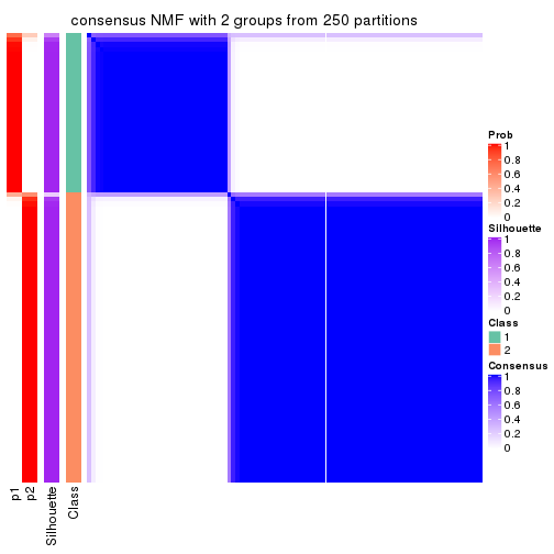 plot of chunk tab-MAD-NMF-consensus-heatmap-1