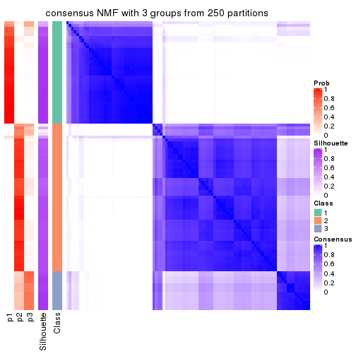 plot of chunk tab-MAD-NMF-consensus-heatmap-2