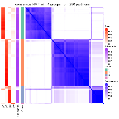 plot of chunk tab-MAD-NMF-consensus-heatmap-3