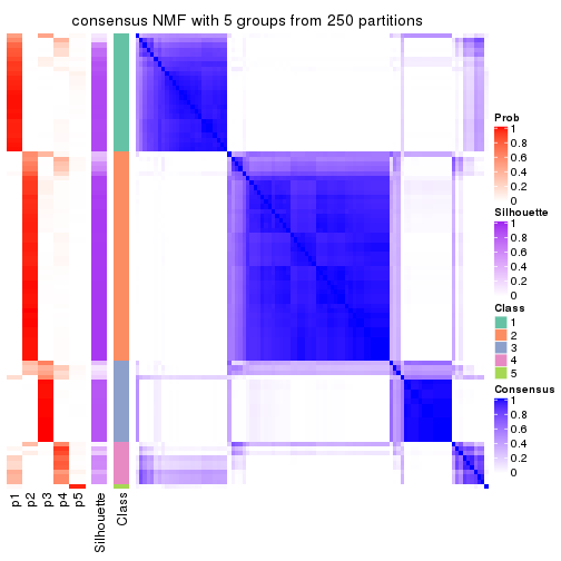 plot of chunk tab-MAD-NMF-consensus-heatmap-4