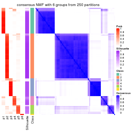 plot of chunk tab-MAD-NMF-consensus-heatmap-5