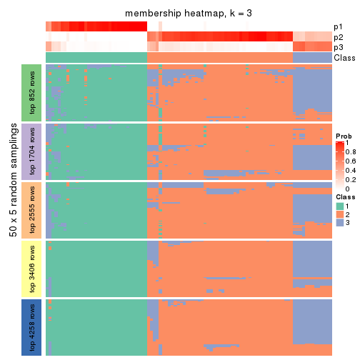 plot of chunk tab-MAD-NMF-membership-heatmap-2