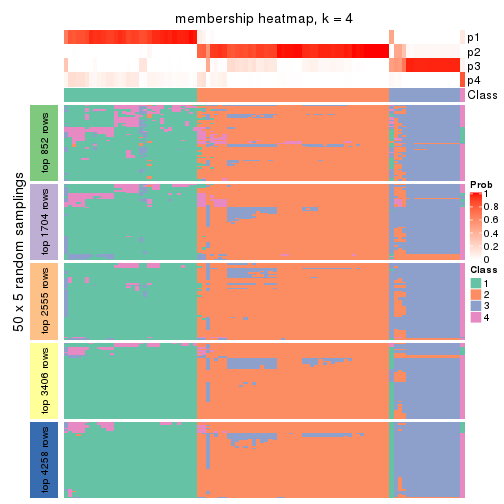 plot of chunk tab-MAD-NMF-membership-heatmap-3