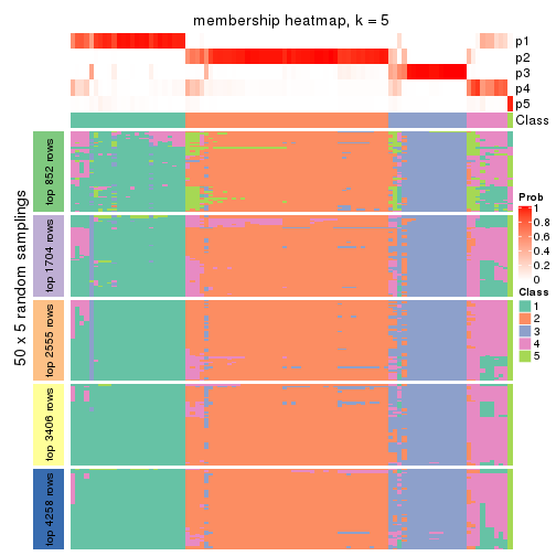 plot of chunk tab-MAD-NMF-membership-heatmap-4