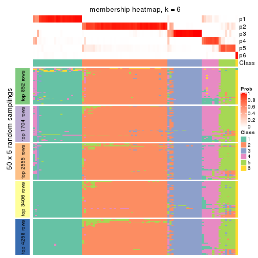 plot of chunk tab-MAD-NMF-membership-heatmap-5