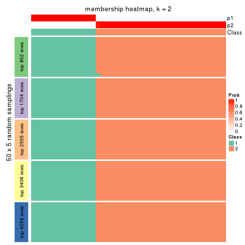 plot of chunk tab-MAD-hclust-membership-heatmap-1