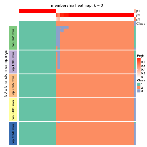 plot of chunk tab-MAD-hclust-membership-heatmap-2