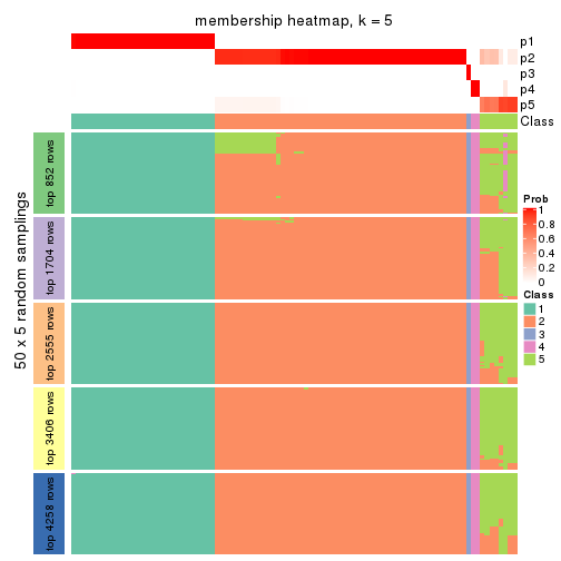 plot of chunk tab-MAD-hclust-membership-heatmap-4