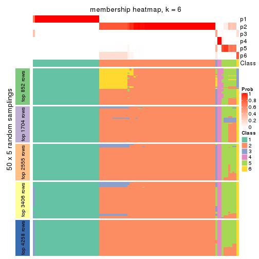 plot of chunk tab-MAD-hclust-membership-heatmap-5