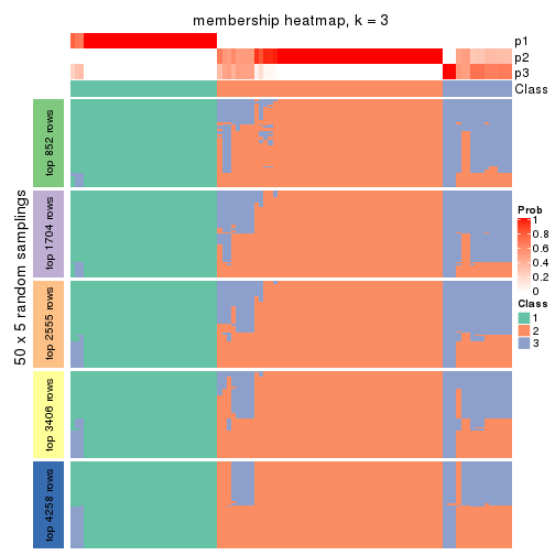 plot of chunk tab-MAD-kmeans-membership-heatmap-2