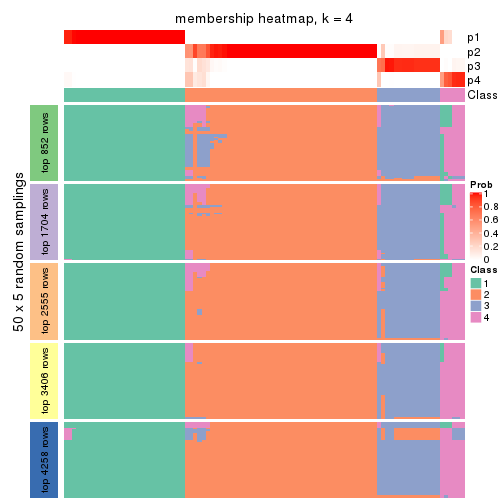 plot of chunk tab-MAD-kmeans-membership-heatmap-3