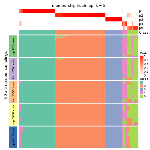 plot of chunk tab-MAD-kmeans-membership-heatmap-4