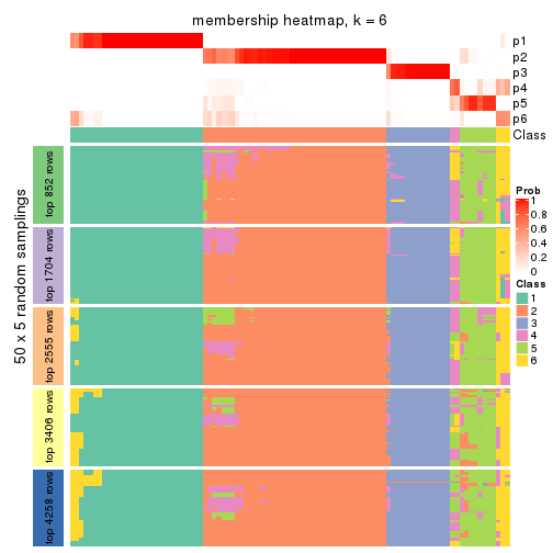 plot of chunk tab-MAD-kmeans-membership-heatmap-5