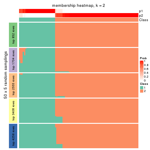 plot of chunk tab-MAD-mclust-membership-heatmap-1