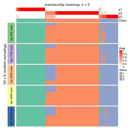 plot of chunk tab-MAD-mclust-membership-heatmap-2