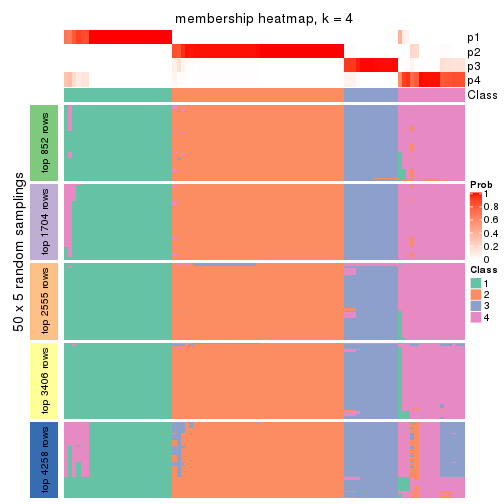 plot of chunk tab-MAD-mclust-membership-heatmap-3