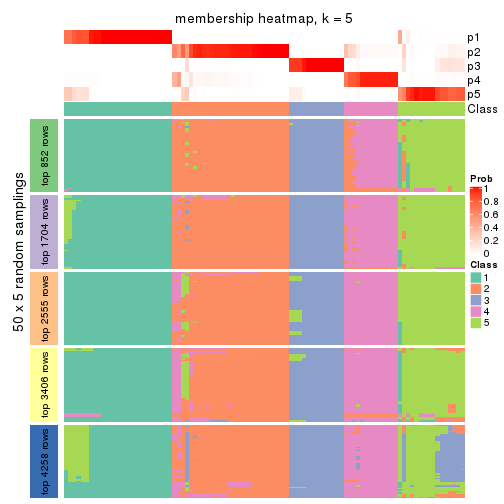 plot of chunk tab-MAD-mclust-membership-heatmap-4