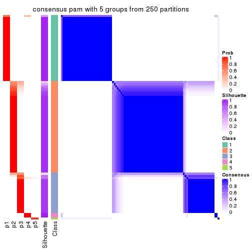 plot of chunk tab-MAD-pam-consensus-heatmap-4